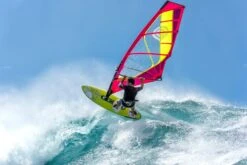 Quatro Cube Quad 93 2021